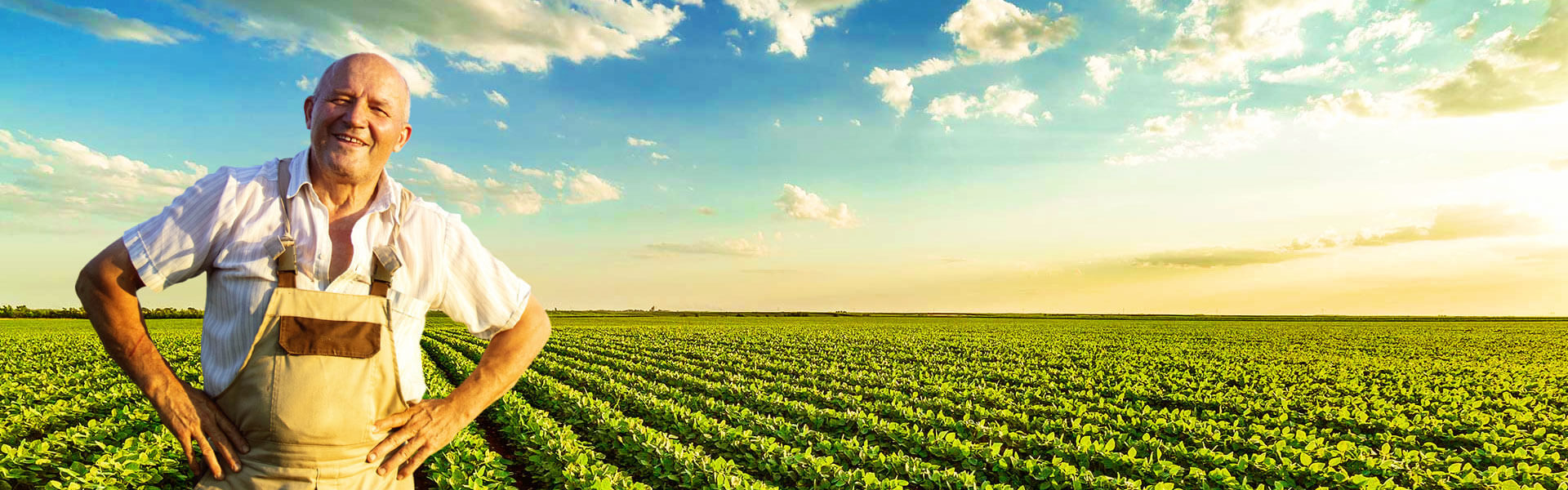 Conheça a história da Agropecuária Pepa